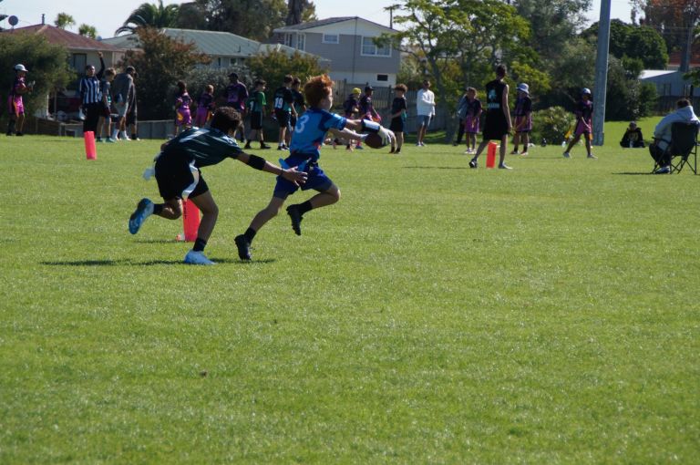 Sharks in Action